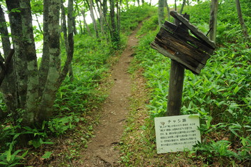 Spot Kushiro Marsh Kushiro City Doutou Hokkaido Japan