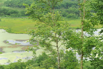 Spot Kushiro Marsh Kushiro City Doutou Hokkaido Japan
