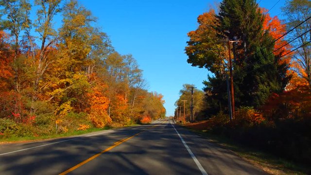 Stock footage of a road in the country with foliage