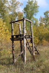Fototapeta na wymiar Log hunting tower for wild hogs hunting against a blue sky in the September forest
