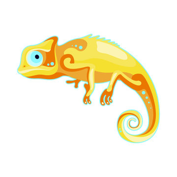 yellow chameleon on white background