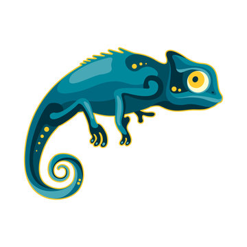 blue-green chameleon