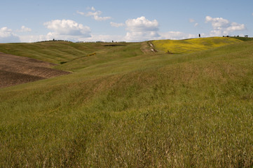 Paesaggi senesi