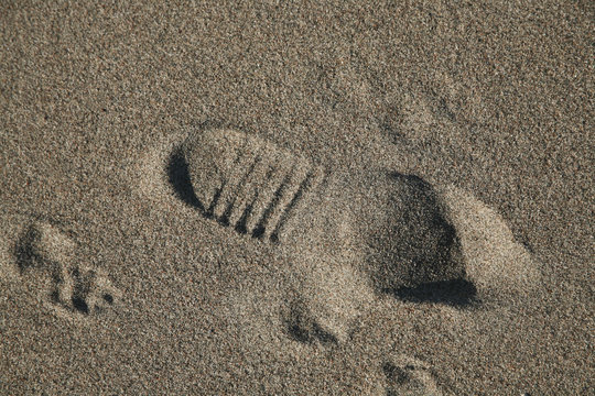 Fotsp&aring;r i sanden p&aring; en strand