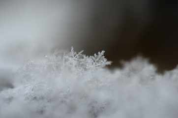 Tiny snowflakes close up