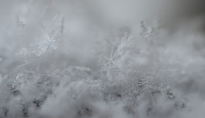 Tiny snowflakes close up