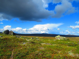 Fjäll in Schweden