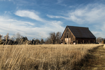 Obraz premium The Barn