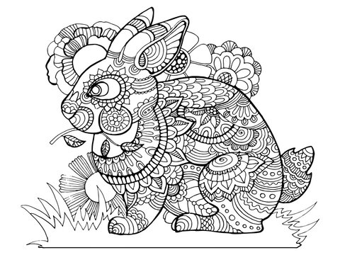 Rabbit bunny coloring book for adults vector