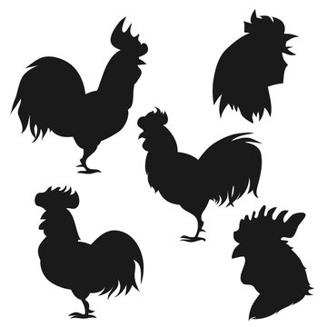 Hand drawn roosters.  Vector set of cock.
