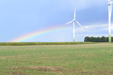 Regenbogen/ Rainbow