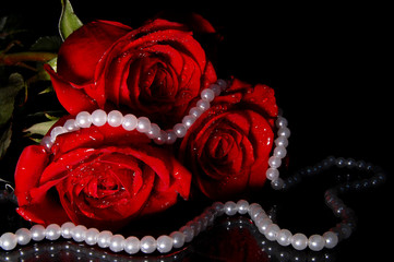 red roses and white necklace on a black background © danshanin