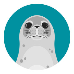 seals head