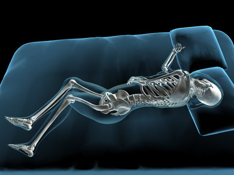 Skeleton of Reclining Blue Woman