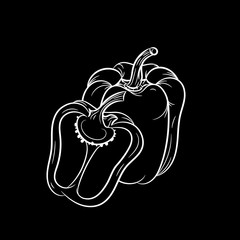 Hand drawn bell pepper sketch. Vector illustration