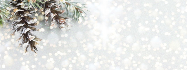 Pinecones and fir tree on sparkling background.