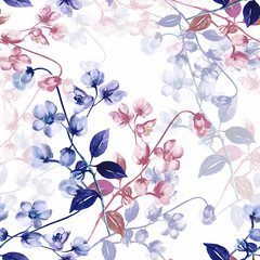  Seamless watercolor flowers of rosemary on a colored background