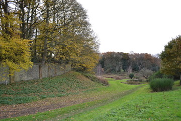 trees path wall park 