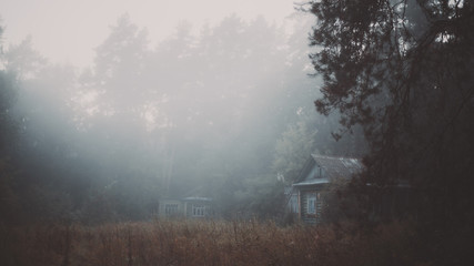 Early foggy morning in forest village with pine trees in front and old wooden village houses in...