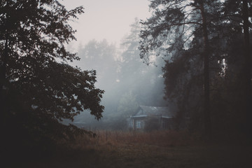 Early dark misty morning in forest village with trees in front and old wooden village houses in...
