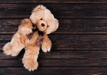 Teddy brown bear on wood desk