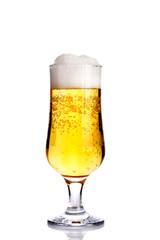 Glass of beer on white background