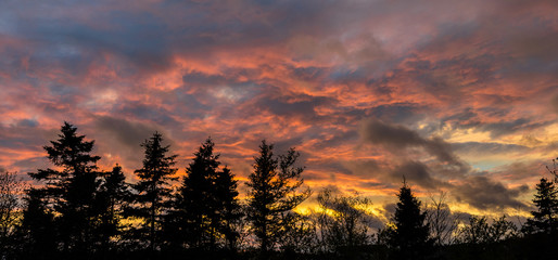 dramatic purple orange and yellow sunset with clouds and silhouetted trees