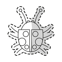 Bug icon. Insect pest bed infestation and parasite theme. Isolated design. Vector illustration