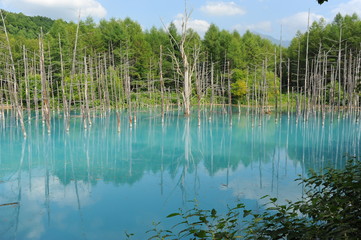 Blue Pond Japan
