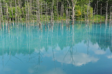 Blue Pond Japan