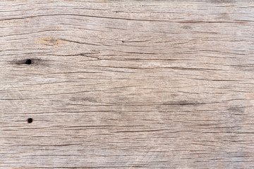 Wood texture or wood background. Wood motifs that occurs natural. Closeup natural wood detail for interior or exterior design with copy space for text or image.