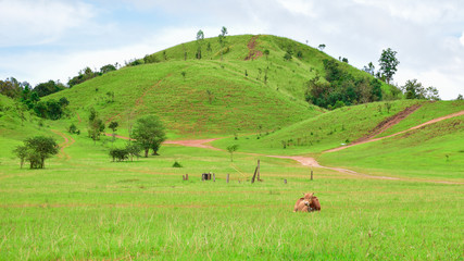 Phu Khao Ya (Grass Hill) in rainy season, Ranong