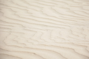 Fototapeta na wymiar sand wave on the beach like a desert