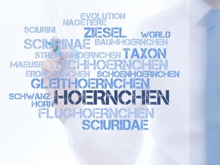 Hörnchen © CrazyCloud