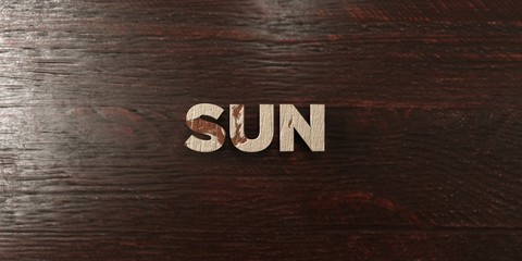 Sun - grungy wooden headline on Maple  - 3D rendered royalty free stock image. This image can be used for an online website banner ad or a print postcard.