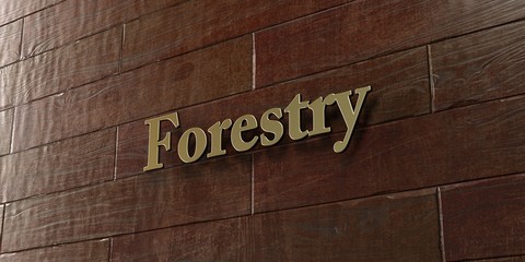 Forestry - Bronze plaque mounted on maple wood wall  - 3D rendered royalty free stock picture. This image can be used for an online website banner ad or a print postcard.