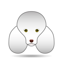 poodle dog face design icon vector illustration eps 10