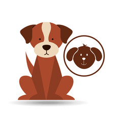 veterinary dog care icon vector illustration eps 10