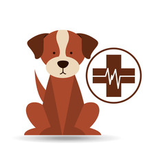 veterinary dog care clinic icon vector illustration eps 10