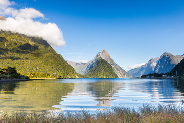 Naklejka na ściany i meble Morning view on Milford Sound and Mitre Peak over the calm water