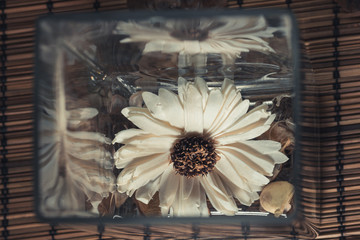 Цветок в вазе