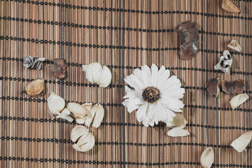 Натюрморт на бичевке