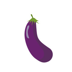 Eggplant isolated. Purple vegetables on white background. Eating