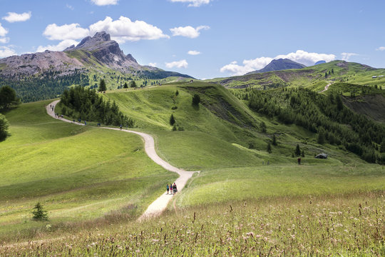 Path from Passo Gardena towards the Forcelles refuge with the Sassongher Mount on background in Badia valley, Bolzano district, South Tyrol,  Italy