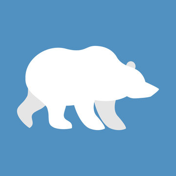 Polar bear. Wild animal north pole. Beast of Arctic and Antarcti