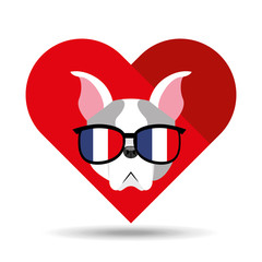 cute dog pet with flag france glasses heart background vector illustration eps 10