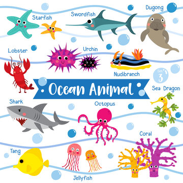 Ocean Animal cartoon on white background with animal name.  Lobster. Starfish. Octopus. Shark. Jellyfish. Coral. Tang. Sea Dragon. Urchin. Swordfish. Nudibranch. Dugong. Vector illustration. Set 3.