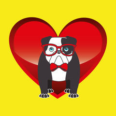 Fototapeta premium bulldog with glasses red bow vector illustration eps 10