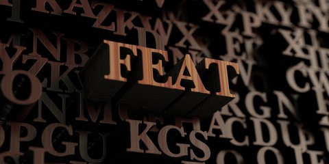 Feat - Wooden 3D rendered letters/message.  Can be used for an online banner ad or a print postcard.