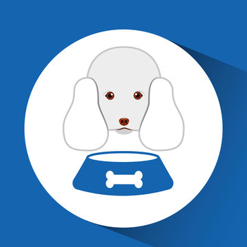 digital pet shop with poodle and food bowl vector illustration eps 10